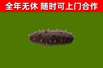 袁州区烟酒回收干海参.jpg